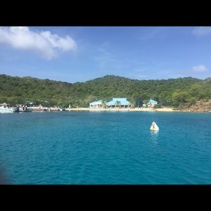 Meet your Posher, Carole